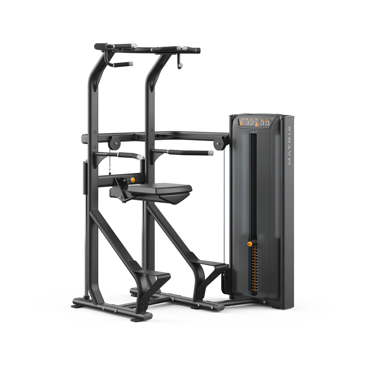 Matrix Versa Chin / Dip Assist - Image 2