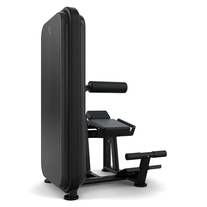 Vision Ab / Low Back - Image 3