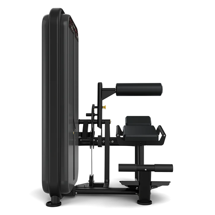 Vision Ab / Low Back - Image 4